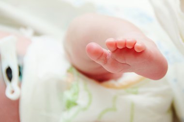 Yeni doğan bebeğin ayakları portre