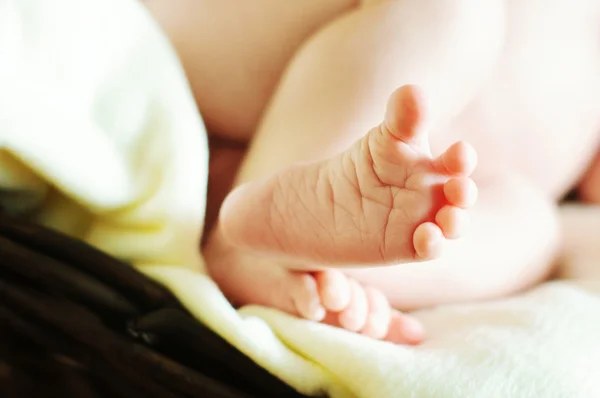 Маленька нога новонародженої дитини — стокове фото