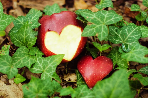 Kalp dışarı kesim ile elma — Stok fotoğraf