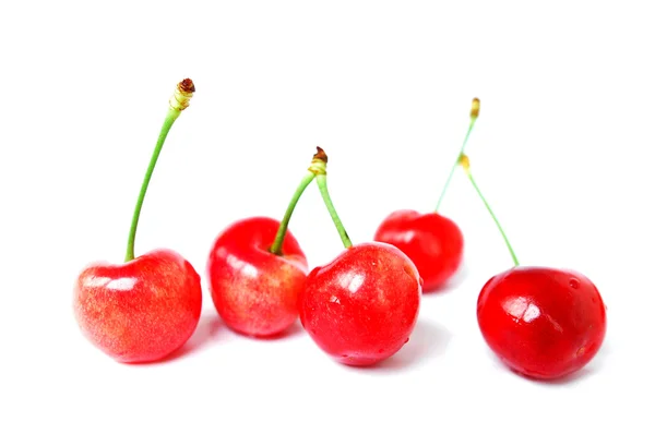 Frutas de cereza — Foto de Stock