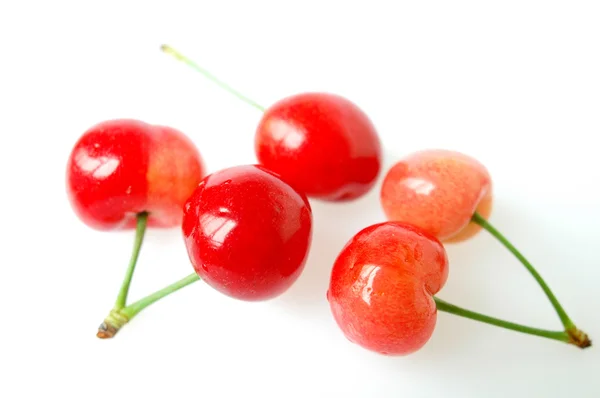 Frutas de cereza — Foto de Stock