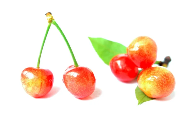 Frutas de cereja — Fotografia de Stock