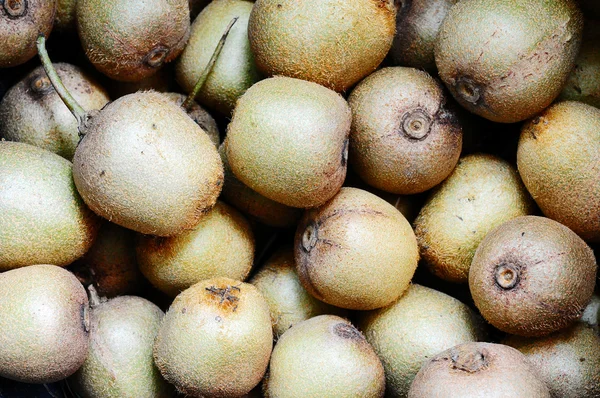 Kiwi fruits — Stock Photo, Image