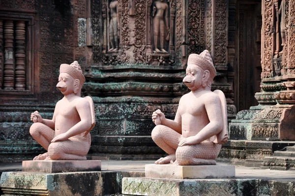 Angkor, Camboja — Fotografia de Stock
