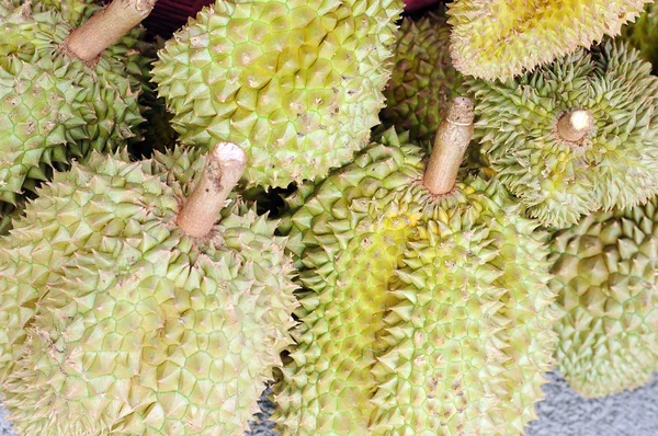 Durian fruits in Thailand — Stock Photo, Image