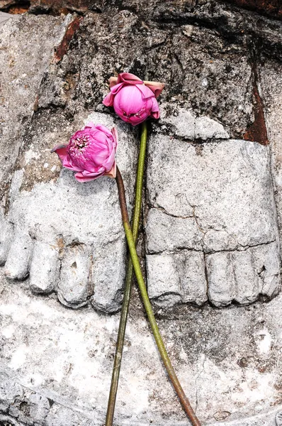 Estátua dos pés de Buda no Parque Histórico de Sukhothai — Fotografia de Stock