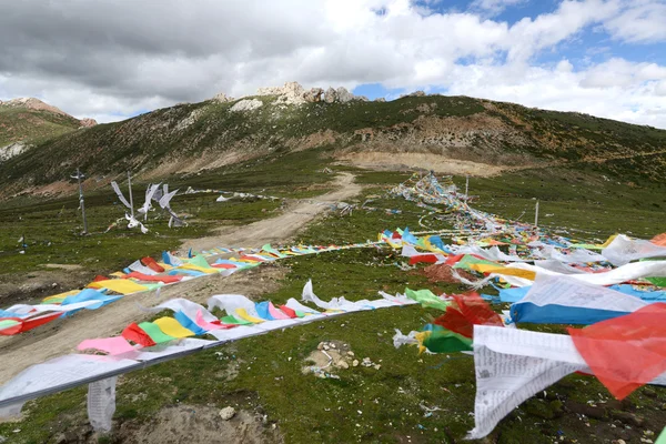 Paysage des drapeaux de prière bouddhistes — Photo