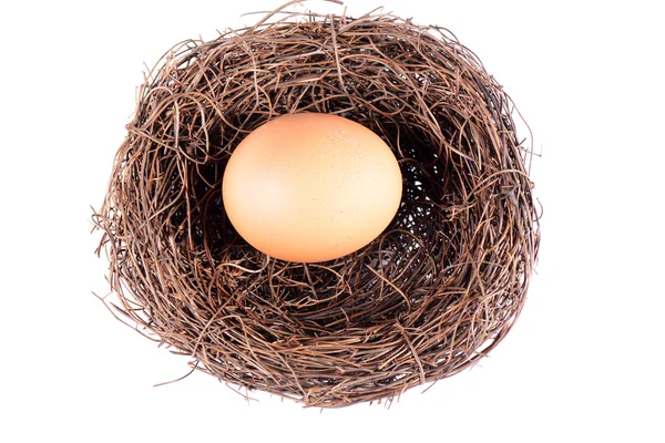 Nido y huevo de ave —  Fotos de Stock