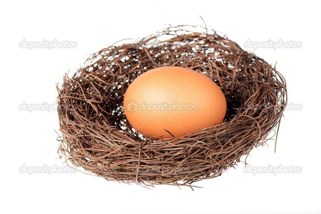 Bird's nest with an egg
