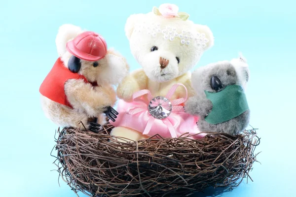 Φωλιά με ένα παιχνίδι αρκουδάκι και δύο κοάλα — Φωτογραφία Αρχείου