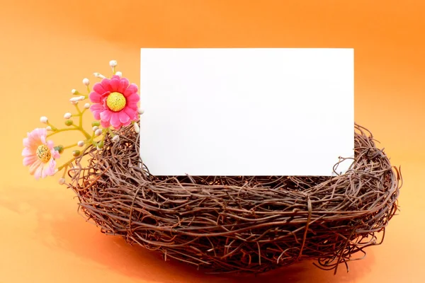Nest with a blank card — Stock Photo, Image
