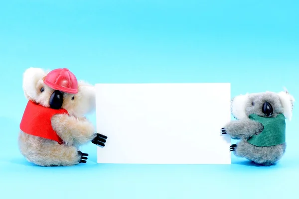 빈 흰색 카드를 들고 두 장난감 코알라 — 스톡 사진