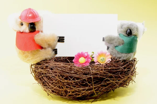 Dos koala de juguete sosteniendo una tarjeta blanca en blanco en un nido —  Fotos de Stock