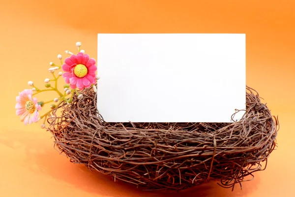 Nest with a blank card Royalty Free Stock Photos