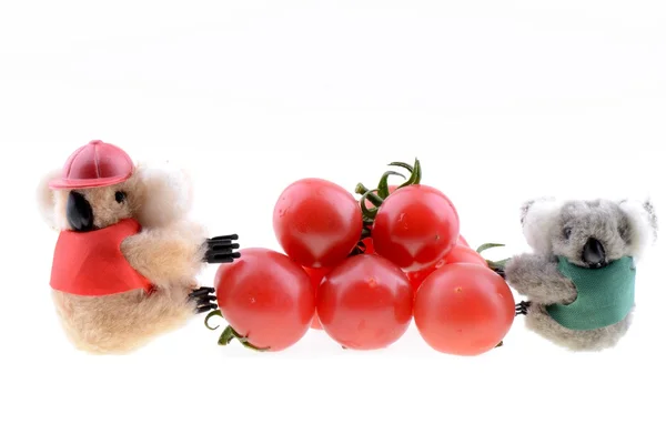 Juguete koala recoger tomate Cherry — Foto de Stock