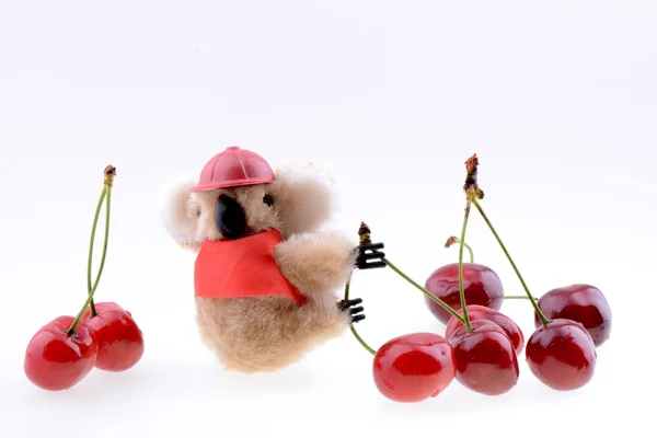 玩具考拉收集甜樱桃 — 图库照片