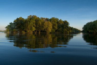 suya yansıyan willows