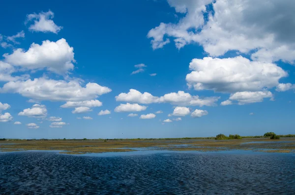 Danube Delta Landscape — Stock Photo, Image