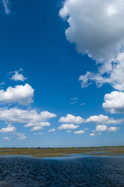 Danube Delta Landscape — Stock Photo, Image