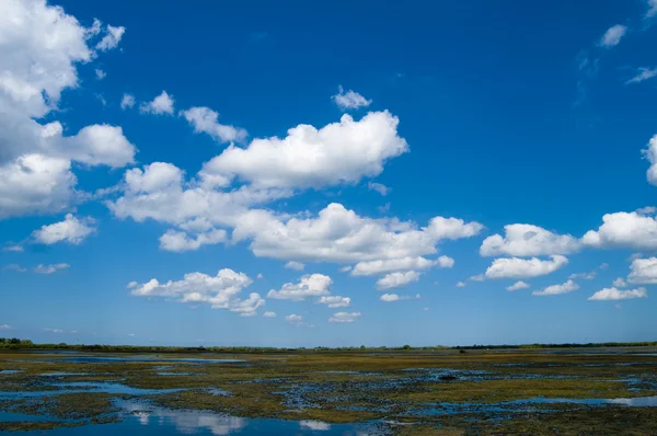 Danube Delta Landscape — Stock Photo, Image
