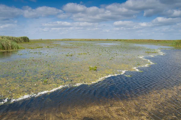 Delta del Danubio paisaje — Foto de Stock