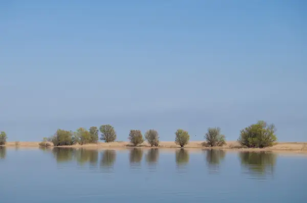 Danube Delta landscape — Stock Photo, Image