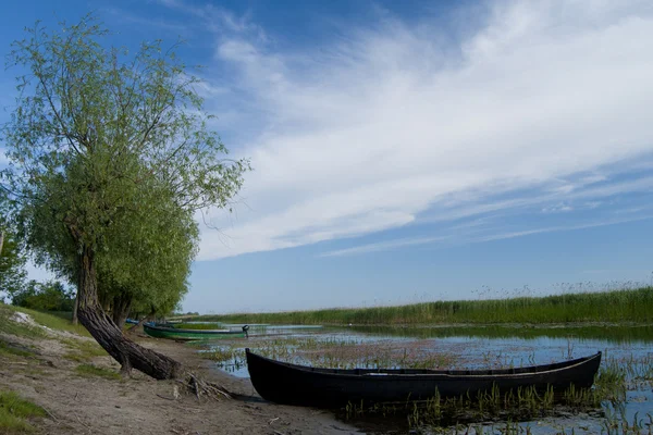 Danube Delta landscape — Stock Photo, Image