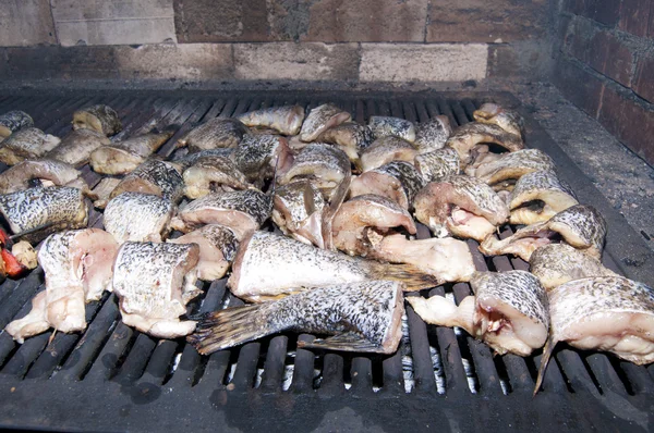 Vis segmenten op grill — Stockfoto