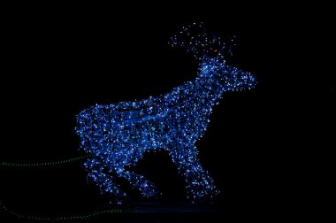 Işıklar raindeer