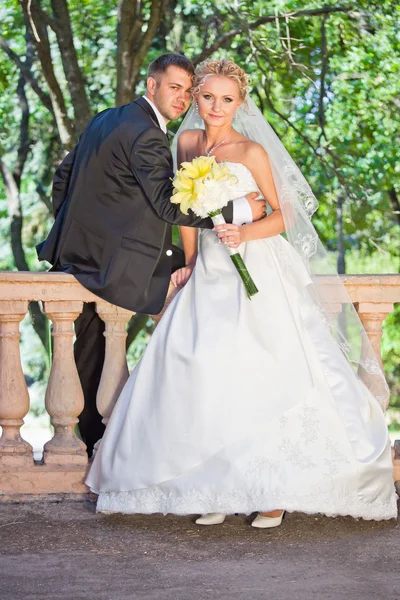 Sposa e sposo — Foto Stock