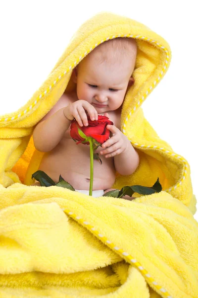 Baby gazdaságban egy vörös rózsa — Stock Fotó
