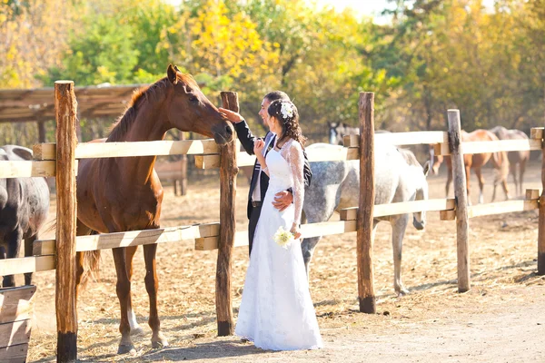 Groom avec la mariée et un cheval — Photo