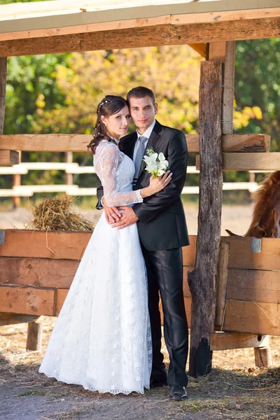 Sposo con la sposa il giorno del loro matrimonio — Foto Stock