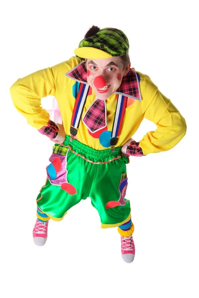 Grappige clown — Stockfoto