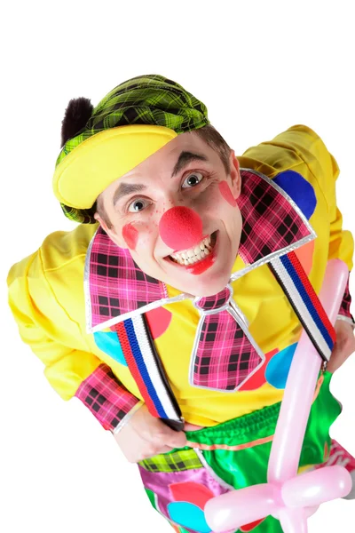 Lustiger Clown — Stockfoto