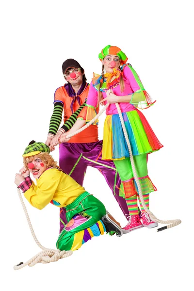 Drie lachende clowns — Stockfoto