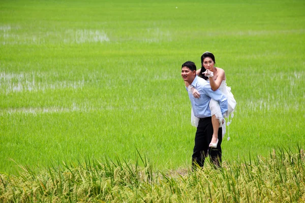 Smiling groom carrying on his back bride in paddy field — Stock Photo, Image