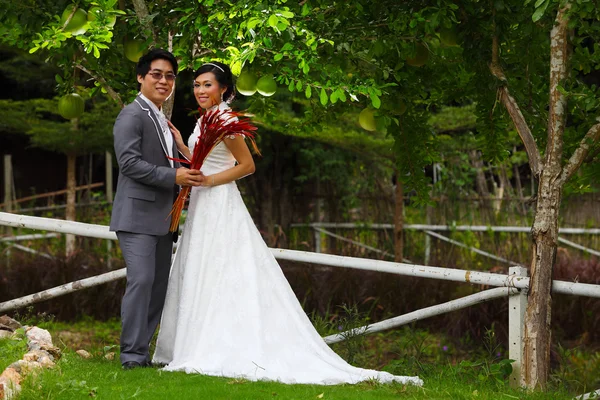 Yeni evli çift güzel bahçede poz — Stok fotoğraf