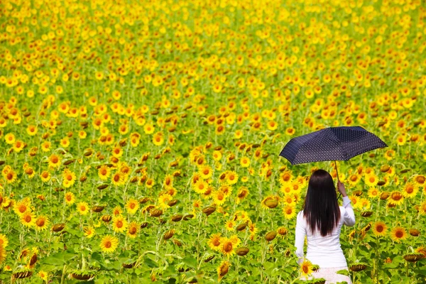 Jonge vrouw met umbrealla in zonnebloem veld — Stockfoto