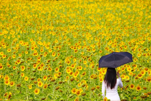 Mladá žena s umbrealla ve slunečnicovém poli — Stock fotografie