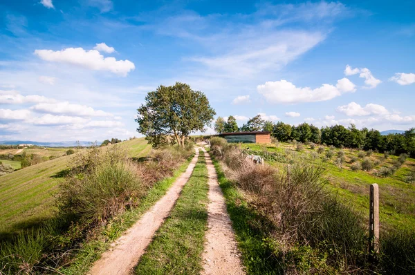 Tuscan kırsal manzara — Stok fotoğraf