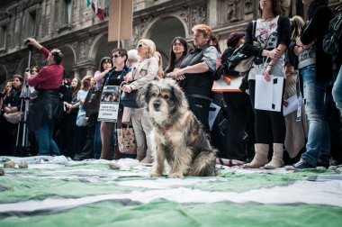 hayvan hakları savunucuları protest