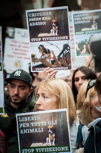 Ativistas dos direitos dos animais protestam — Fotografia de Stock