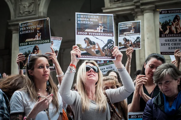 Protest obrońców praw zwierząt — Zdjęcie stockowe