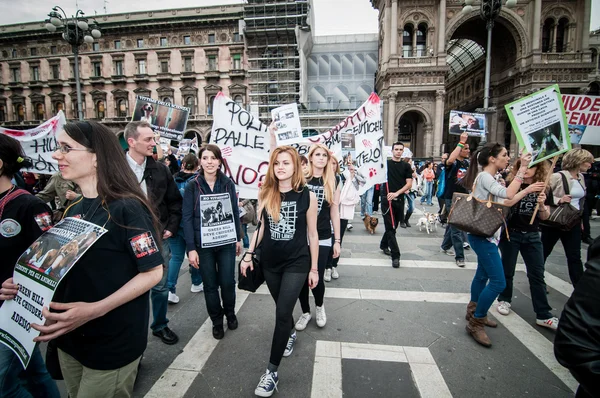 Animal rights activists protest — Stock Photo, Image