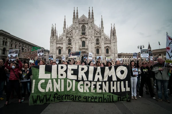 Activistas por los derechos animales protestan —  Fotos de Stock