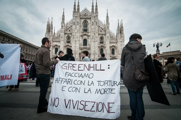 Animal rights activists protest — Stock Photo, Image