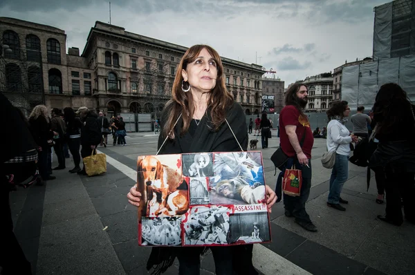 Animal rights activists protest — Stock Photo, Image