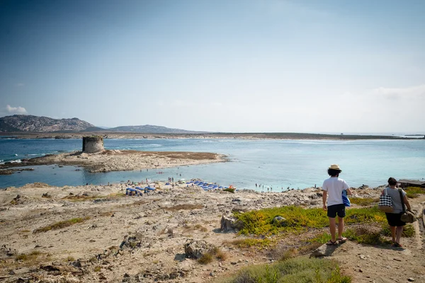 Stintino Sardinia sea landscape — Stock Photo, Image