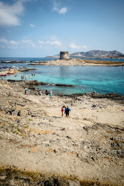 Stintino Sardinia sea landscape — Stock Photo, Image
